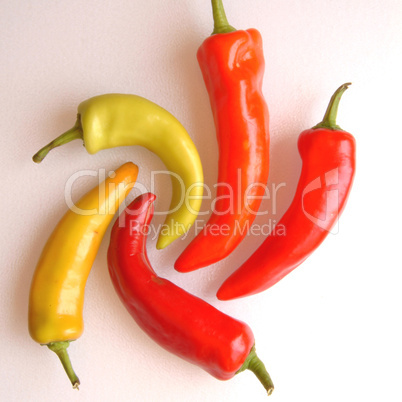hot pepper spiral