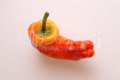 colorful pepper