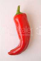 one red hot pepper