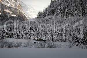 Wintermorgen in den Alpen