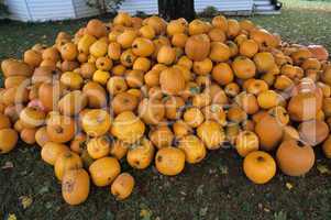 Farm house pumpkins