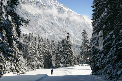 Idyllische Langlauf Loipe