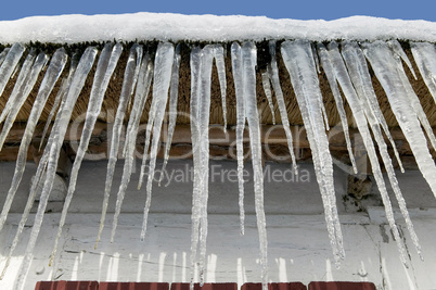 Icicles