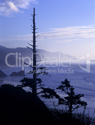 Cannon Beach