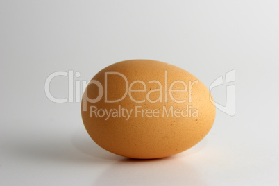 Chicken egg on a white background