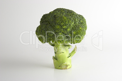 Broccoli