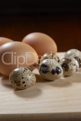 Eggs