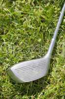 Golf club driver laying in grass