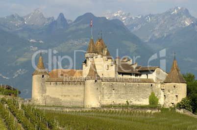 Chateau Aigle