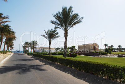 road to sea in beautiful egyptian hotel with landscape design