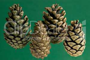 Cones