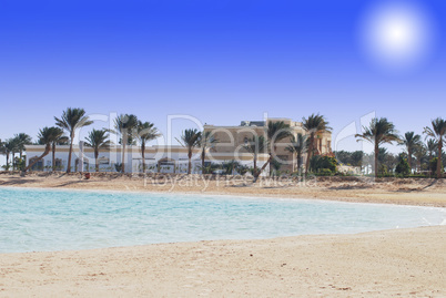sand beach with sea and palms in Egypt