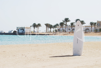 single windsurfing board in a sand of a beach