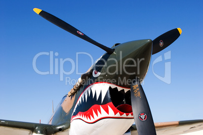 Aircraft Shark Teeth WW II Fighter