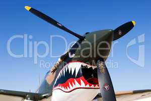 Aircraft Shark Teeth WW II Fighter