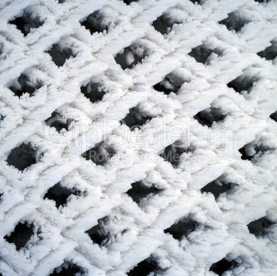 Fence covered with Frost