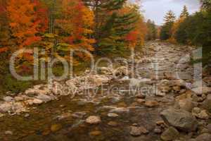 Autumn stream