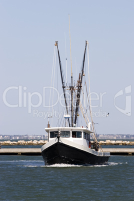 Shrimp boat in Harbor
