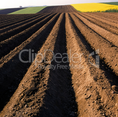 Fields Contrast