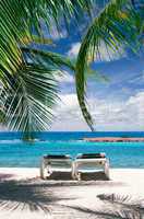Beach chairs and palm trees