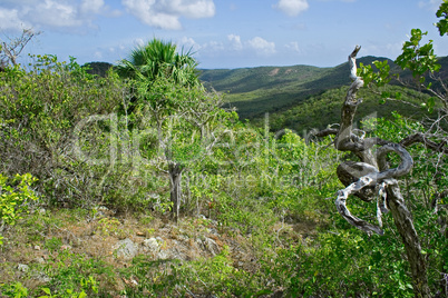 Wildlife preserve in Curacao