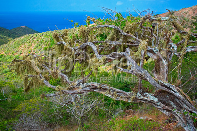 Wildlife preserve in Curacao