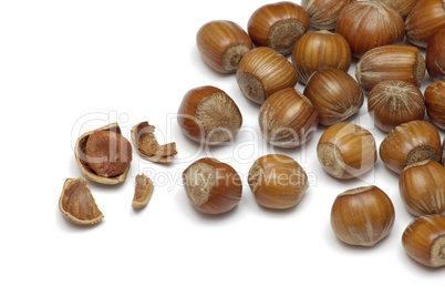 Hazel nuts