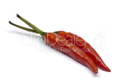 birds eye chilli