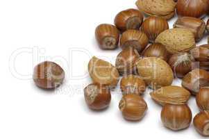 Almonds and hazel nuts