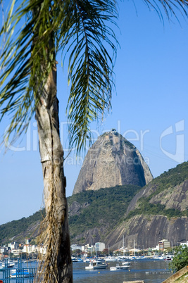 Sugar loaf mountain