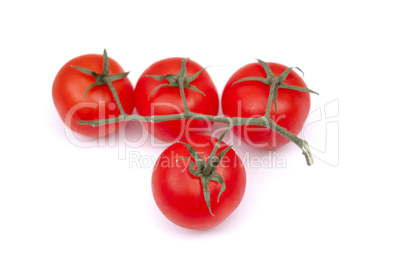 Red vine tomatoes