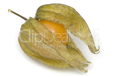 Physalis fruit