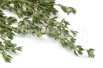 Thyme herb