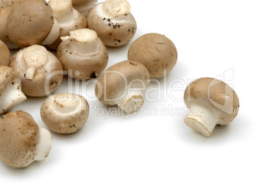 Chestnut mushrooms