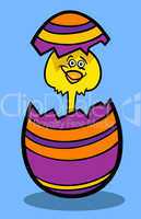 chick in easter egg cartoon illustration