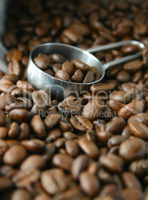 Coffee beans and scoop