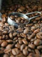 Coffee beans and scoop