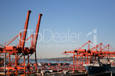 Port loading cranes.