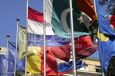 Sea of international flags
