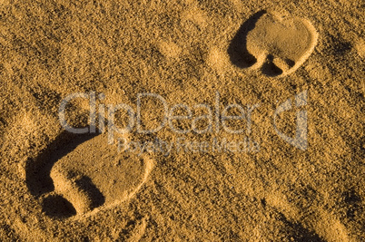 Footprint of as dromedar in the Sah