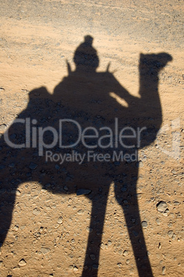 Shadow of a camel with rider Akakau