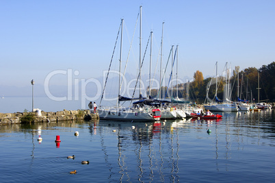 Autumn at the Yacht harbour