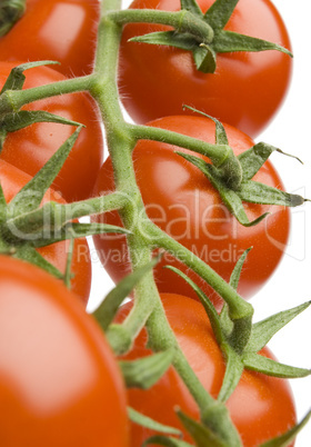 Tomatoes on the vine