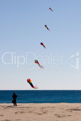 Man Flying a Kite on the Beach
