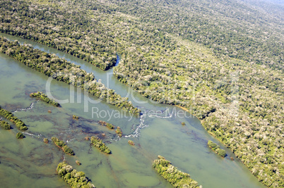 Rainforest territory Parana state B
