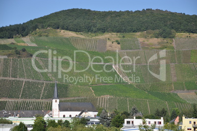 Kirche und Weinberge in Longuich an der Mosel