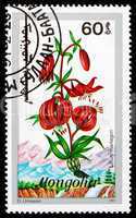 Postage stamp Mongolia 1991 Martagon, Flowering Plant