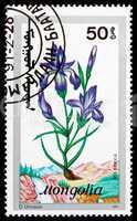Postage stamp Mongolia 1991 Siberian Iris, Flowering Plant