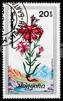 Postage stamp Mongolia 1991 Large Pink, Wildflower