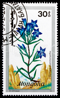 Postage stamp Mongolia 1991 Marsh Gentian, Wildflower